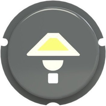 SBL-N2GR Кнопка освещение free@home, Zenit, серый, 2CLA202610N1402 в Архангельске