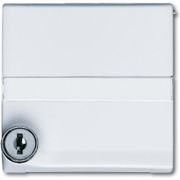 ABB ALLWETTER, 2CKA001710A2306 в Архангельске